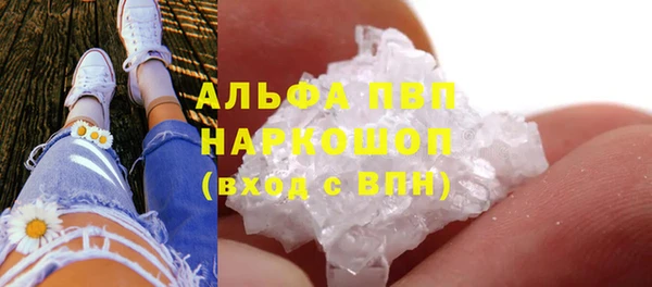 стаф Белокуриха