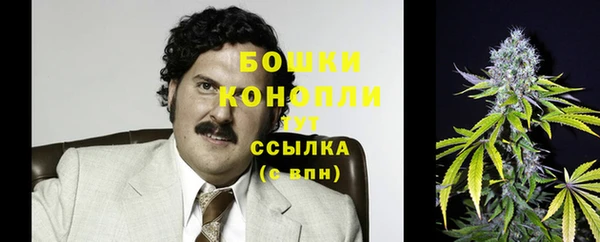 прущие крисы Богданович