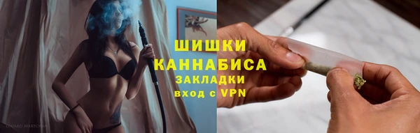 стаф Белокуриха