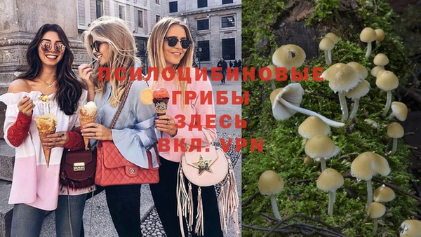 стаф Белокуриха