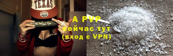 стаф Белокуриха