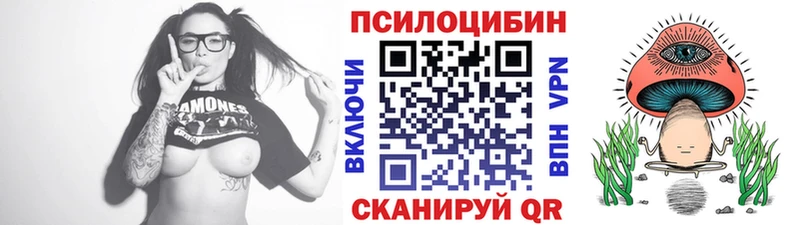 купить наркотик  Луховицы  Псилоцибиновые грибы прущие грибы 