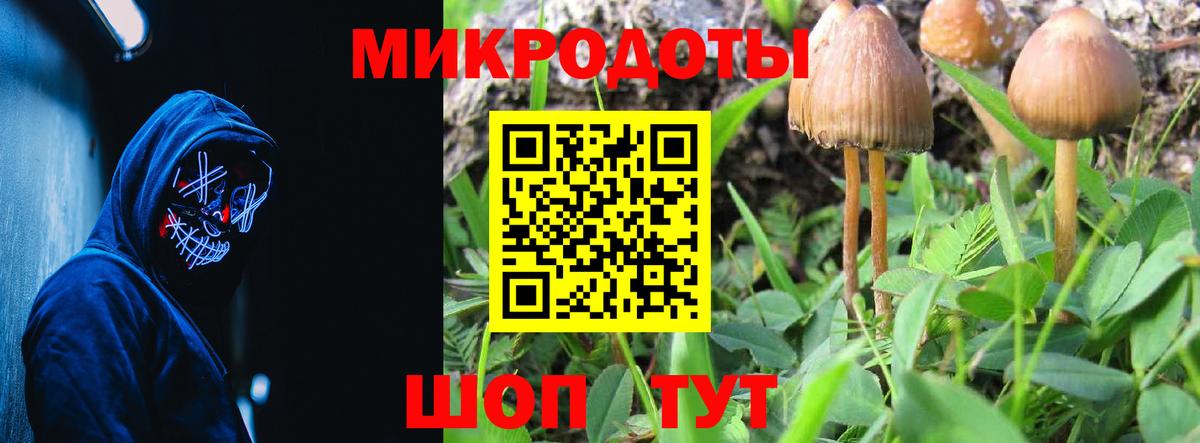 Луховицы  Псилоцибиновые грибы GOLDEN TEACHER  Вход с VPN 
